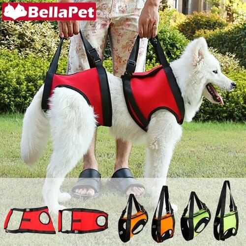 Dog Harness No Pull Basic Halter Harnesses for Dogs Nylon Dog Harness Vest Pet Product Basic Dog Harness Vest Dog Accessories