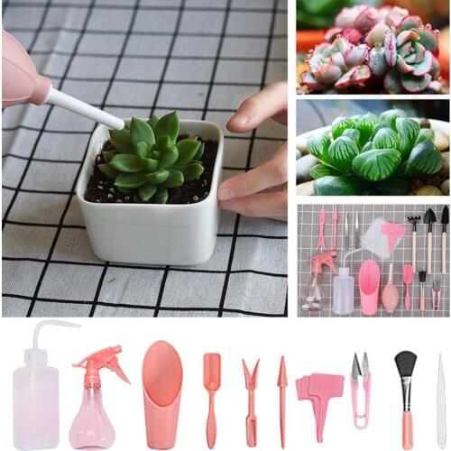 Garden Planter Kit Succulent Planting Bonsai Fertilizer Transplant Seedling Tool