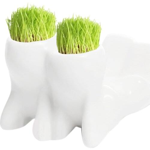 Mini Bonsai Head Grass Hair White Ceramic Plant Garden,Tree Doll Grass Pot New Novel Bonsai Head Grass Doll Hair White Lazy pot
