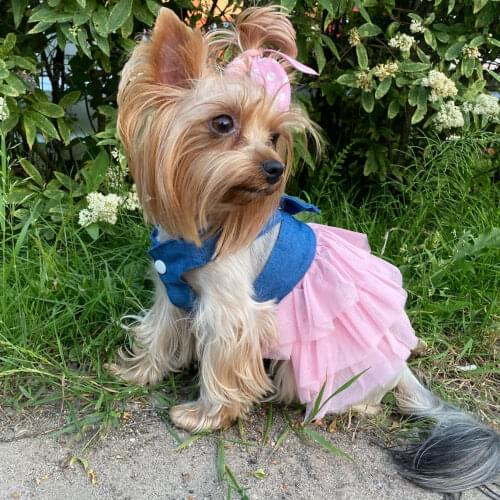 Spring and Summer New Dog Dresses for Small Dogs Striped Suspenders Mesh Pet Skirt Dog Clothes for Small Dogs Girl Puppy Clothes