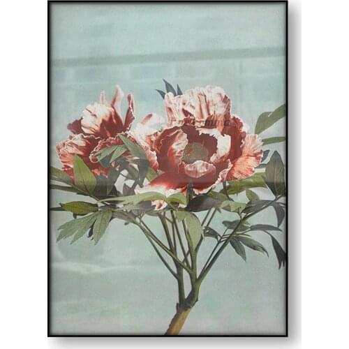 Tree Peony Kazumasa Ogawa Japanese Art Poster Japanese Flowers Woodblock Canvas Print Nature Old Photo Wall Art Painting Decor