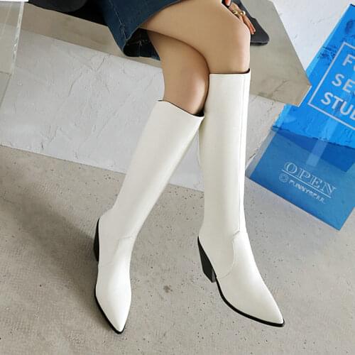 Ladies Knee Boots Thick Heel Ladies Back Zipper Pointed Boots Autumn Winter Fashion Microfiber Womens Shoes