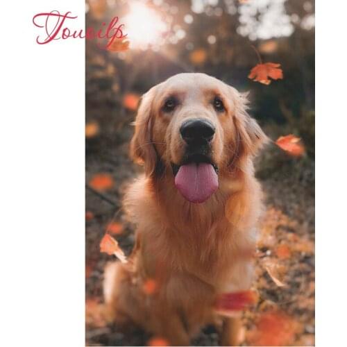 5D spuare & round Flower dog diamond painting cross stitch diamond embroidery set needlework Golden Retriever diamond painting