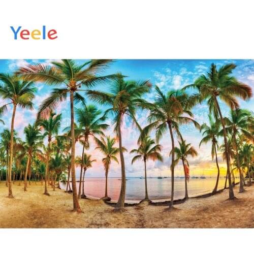 Summer Tropical Palm Tree Sea Ocean Seaside Beach Nature Scenery Backdrop Photography Background For Photo Studio Photophone