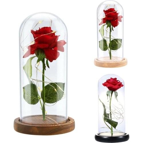 Beauty Rose in LED Glass Dome Forever Rose Red Rose Valentines Day Mothers Day Special Romantic Gift