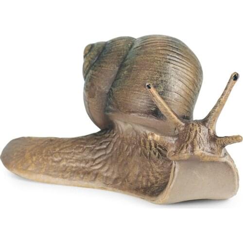 Snails Figure Collectible Toys Wild Animal Cognition Action Figures Kids Miniature Landscape Decoration