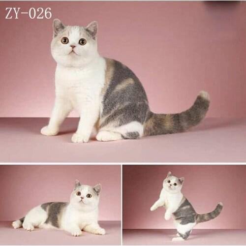 DAWNKNOW Pet Cat Photography Background Backdrop Pink Uniquely Texture Pro Tie-Dyed Muslin Photocall Photo Studio Props 2x3M