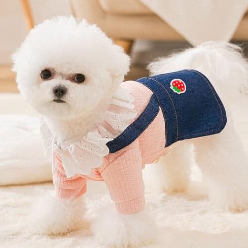 New Autumn and Winter Two-legged Cotton-padded Clothes for Small Dogs, Princess Style Skirts for Cats and Pets Suspenders Skirts