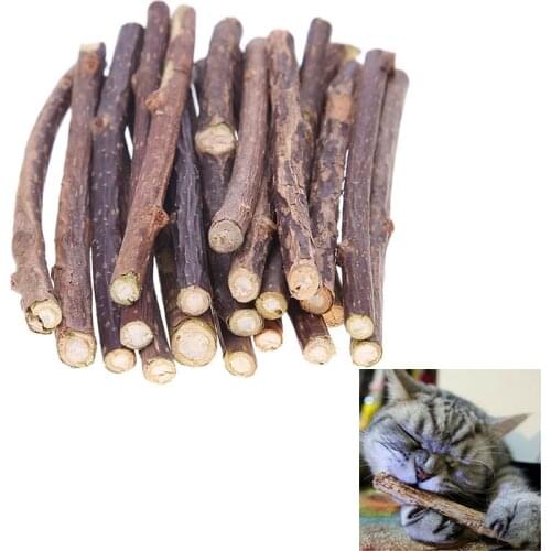15/20pcs Cat Teeth Sticks Brushing Pure Natural Catnip Pet Cat Molar Toothpaste Stick Fruit Matatabi Cat Snacks Sticks Pet Toys