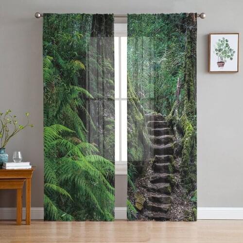 Big Roots Steps Green Forest Tulle Window Treatment Sheer Curtains for Kitchen Living Room the Bedroom Curtains Decoration