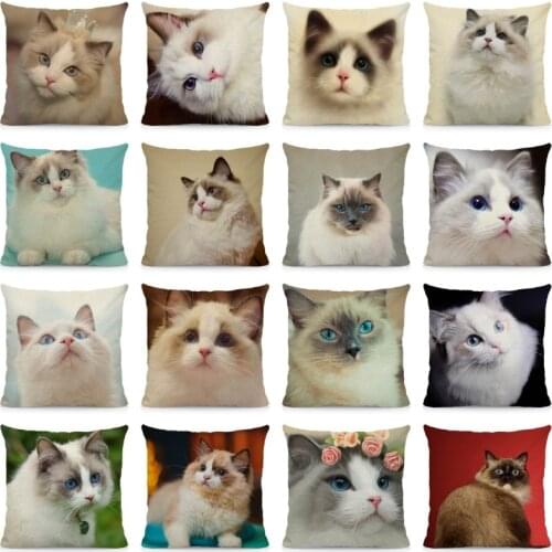 XUNYU Ragdoll Cat Pattern Cushion Cover 45x45cm Animal Print Home Decorative Pillow Case DWM022