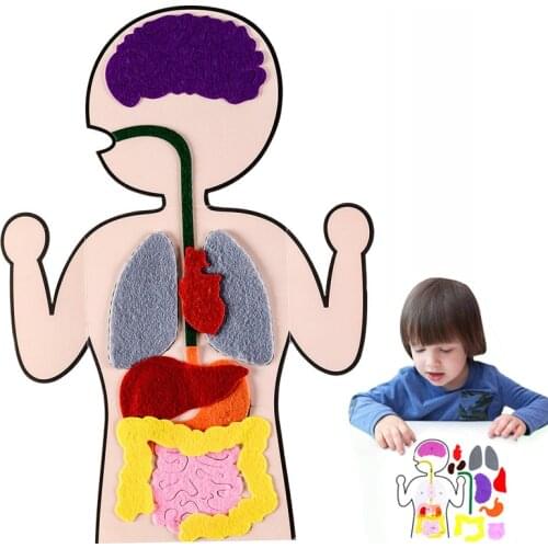 Kids Early Education Toys Human Organ Cognition DIY Weave Cloth Sticky Montessori Toys For Baby Children Learning Art Craft Toy