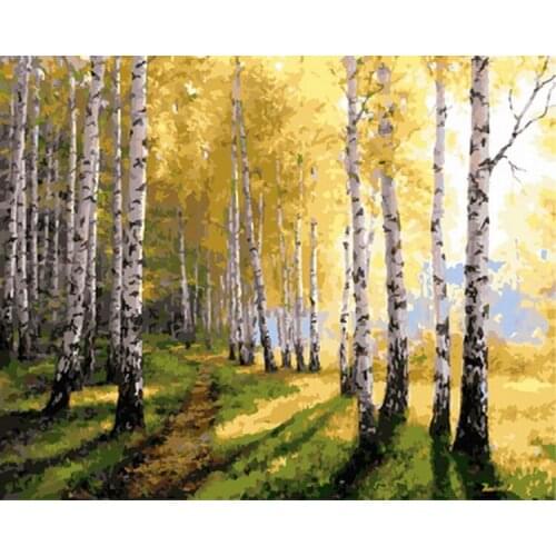 Frameless diy picture oil painting by numbers wall decor painting on canvas for home decor 4050 White birch forest