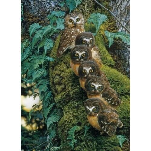 Family tree Owl Animal Embroidery for Needlework Crafts14CT Counted Unprinted DIY Cross Stitch Kits Handmade Arts Wall Decor