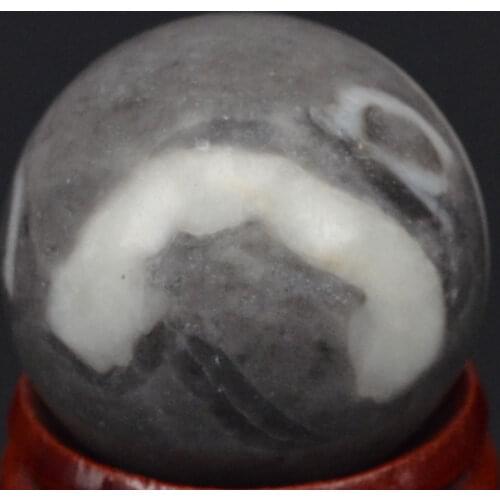 Free Shipping Natural Gemstone 29MM Shell Fossil Jasper Sphere Crystal Ball Chakra Healing Reiki Carving Crafts With Stand