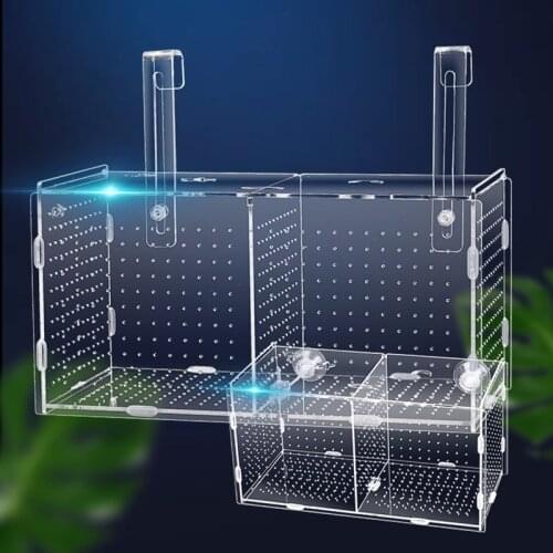 Large Size Fish Tank Isolation Box Guppy Breeding Box Small Fish Fry Isolation Net Acrylic Aquarium 30x20x20cm