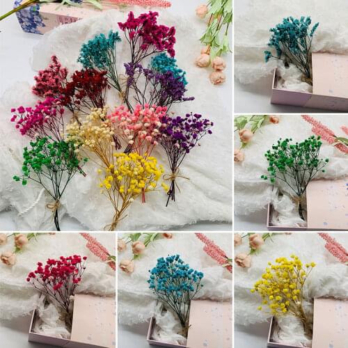 Mini Decorative Natural Fresh Dried Flowers Babysbreath Flowers Bouquet Natural Plants Preserve Floral for Wedding Home Decor