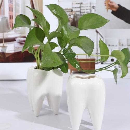 1 Pc Tooth Shaped Ceramic Flower Pot Planter Plant Holder Succulent Plant Flower Pot