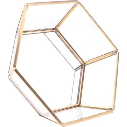 Blesiya Hexagonal Glass Jewelry Tray Table Succulent Plants Planter Box