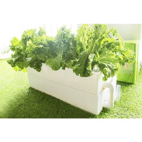Movable Complete Hydroponic System Indoor Vertical Garden Double Layers 12 Plants Holes Grow kit