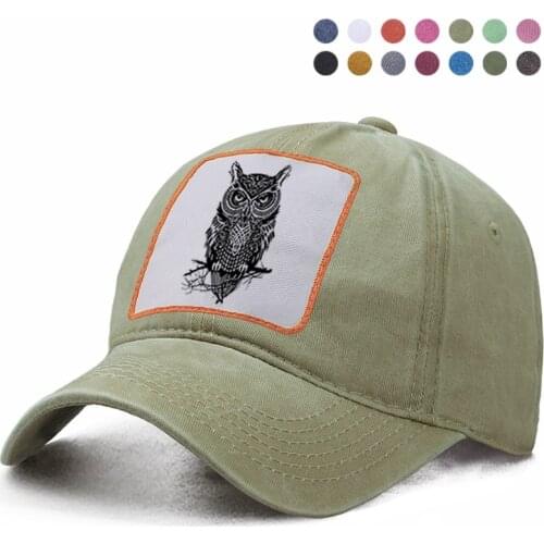 Animal Eagle Brand Baseball Cap Boinas Dad Trucker Solid Snapback Hat Woman Ponytail Berets Caps Casquette Gorras Boinas Hats