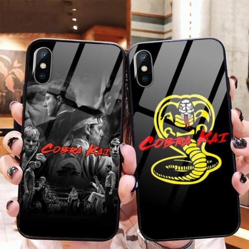 Cobra kai snake American TV Phone Case Tempered glass for iPhone 11 12 mini pro XS MAX 8 7 Plus X XS XR