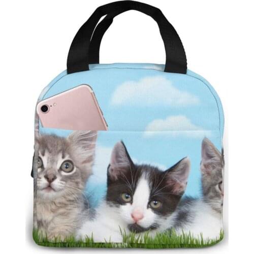 Three Kittens In Tall Grass With Blue Sky Cooler Lunch Box Portable Insulated Lunch Bag Thermal Food Picnic Lunch Bags