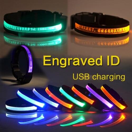 Dog Collar ID Personalized Usb Charging LED Pets Dog Tag Collar Light Engraved Id Custom Puppy Cat Nameplate Nylon Accessories