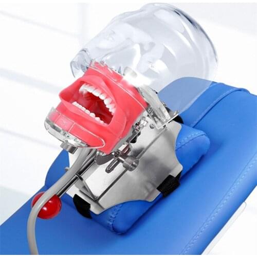 1pcs Head Model Dental Simulator Teeth Model Can Installed On The Pillow Of The Dental Chair Dentistry Root Canal Teaching Tools