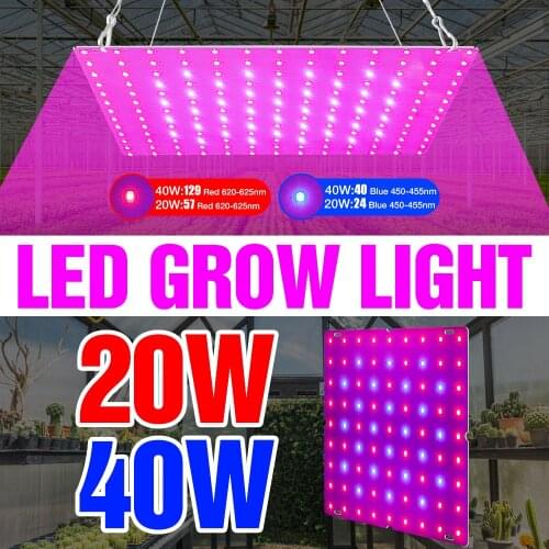 SPSCL Professional Lighting China