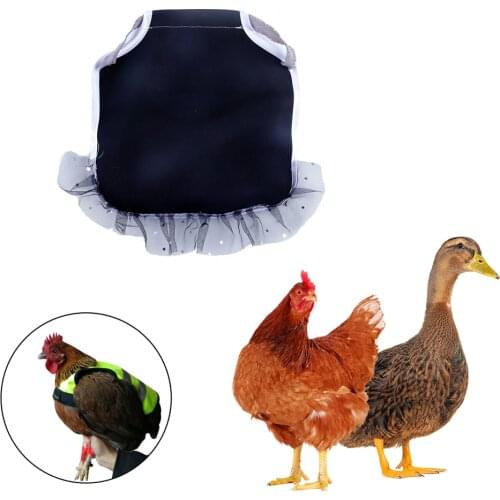 Adjustable Pet Chicken Clothes Hen Apron Poultry Hen Saddle Apron Feather Protection Holder Chicken Protector Hen Lace Dress