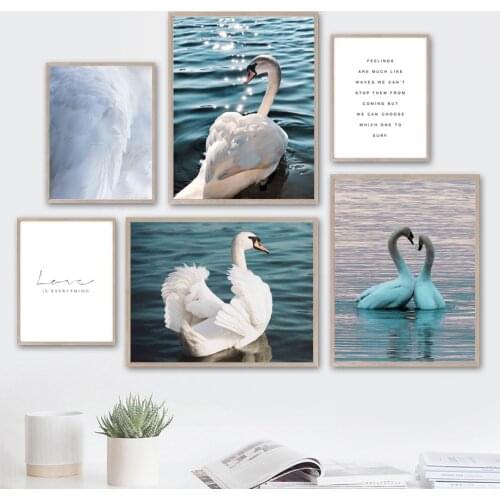 White Swan Couple Feather Lake Love Quote Wall Art Canvas Painting Nordic Posters And Prints Wall Pictures For Living Room Decor
