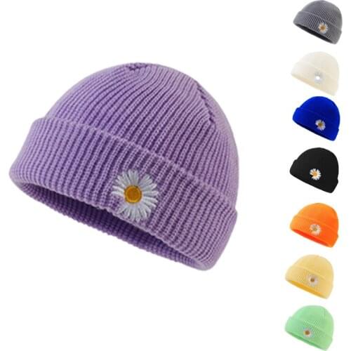Autumn and winter woolen hat, female personality, wild daisy embroidery, male and female landlord hat, candy color knitted hat