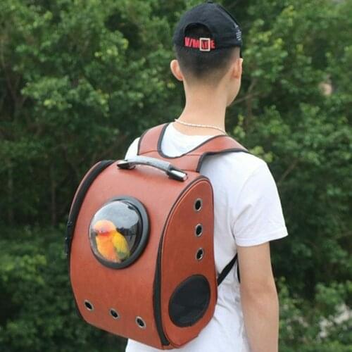 Parrot Cage with Wooden Stands Portable Bird Travel Transport House Pet