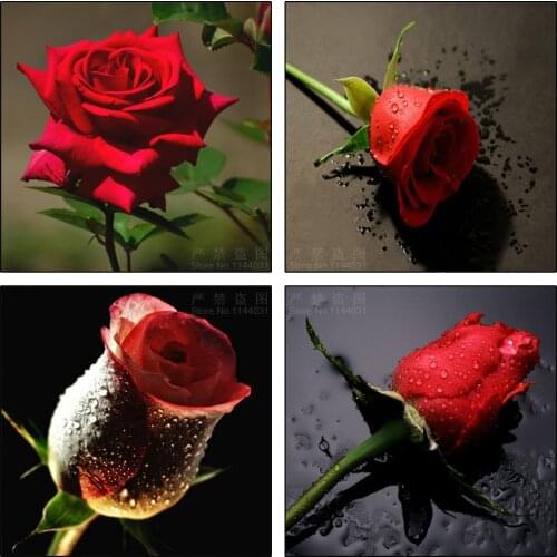 Diamond Embroidery 5D Flower Cross Stitch Crystal Square Mosaic Painting Sets Decorative Diy Diamond Painting Red Rose