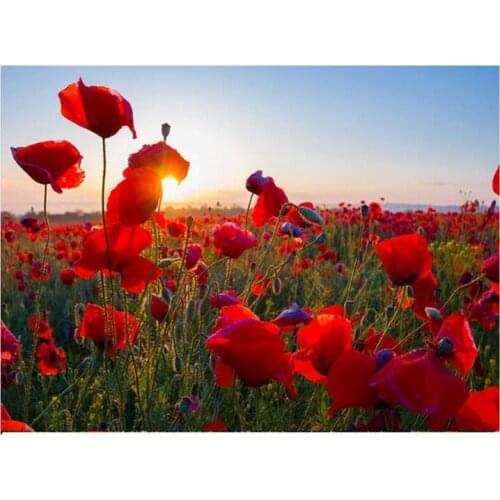 Diamond Embroidery Red Poppy sunset landscape Needlework 5D Diy Diamond Painting Flower sea Full Square Round RhinestoneZP-2369