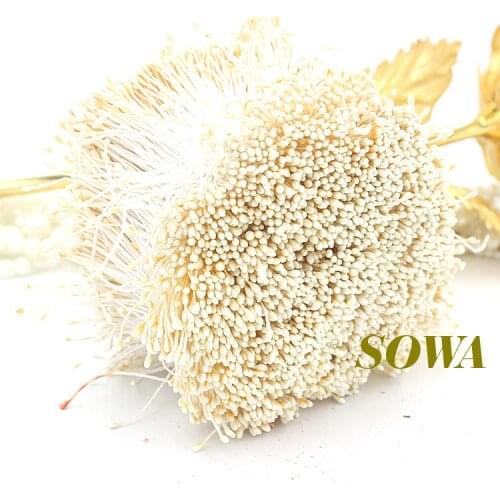 Free shipping 1mm 900pcs/Lot Double Head Ivory Flower Pearl Stamen Cake Decoration Craft DIY