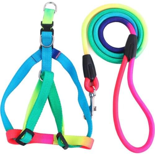 Spot Wholesale Leather Amoy Classic Cross-border Pet Traction Rope Colorful Round Rope Back Dog Traction Rope