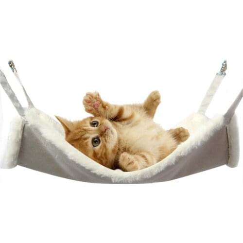 Peitten Accessories For Cats
