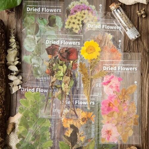 6pcs Vintage Dried Flowers Eucalyptus Leaves Sticker Package DIY Diary Bullet Journal Decoration Sticker Album Scrapbooking