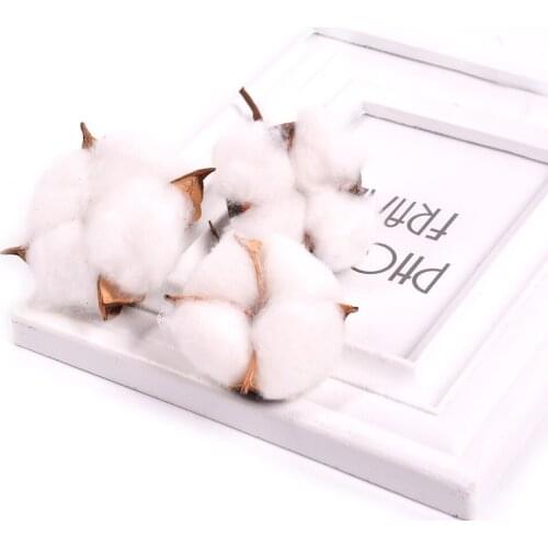 Traumdeutung 5Pcs Artificial Flowers Kapok Cotton Craft Dry Flowers Home Autumn Decoration Christmas kunstplanten blumen