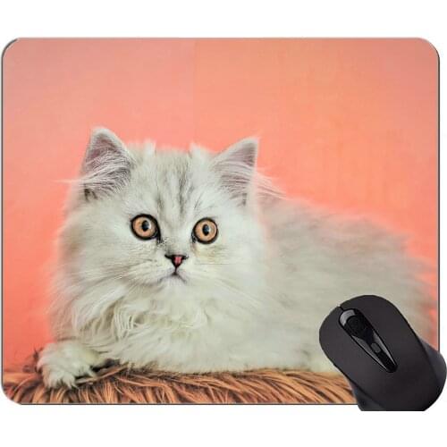 Mouse Pad with Stitched Edge,Fluffy Pet Animal Cat Home Office Computer Accessories Mousepads