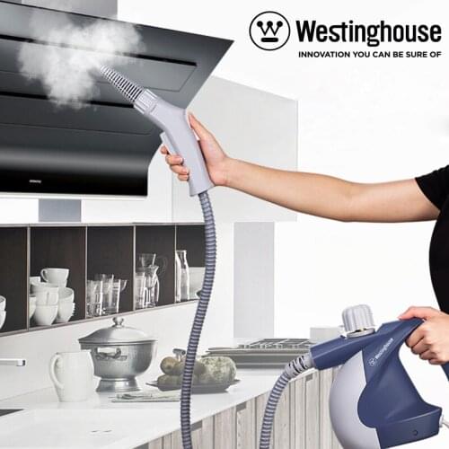 Steam Cleaner High Temperature and Pressure Handheld for Home Use Decontamination Fume Disinfection Cleaner