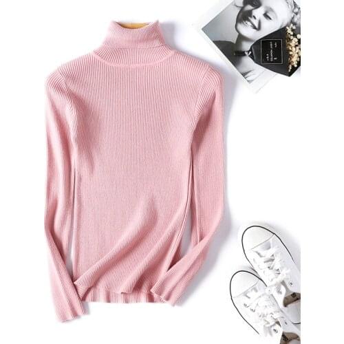 Turtleneck Warm Women Sweater Autumn Winter Knitted Femme Pull High Elasticity Soft Female Pullovers Sweater