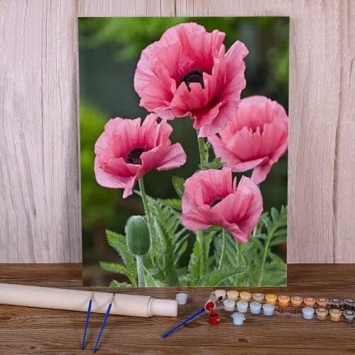 Poppy Flowers Coloring By Numbers Painting Package Acrylic Paints 40*50 Paiting By Numbers Home Decoration Kids Handicraft