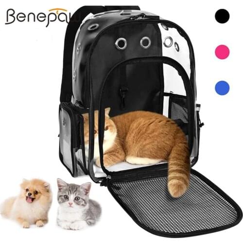 Benepaw Transparent Small Dog Backpack Durable Breathable Mesh Pet Carrier Padded Shoulder Strap Cat Puppy Carrying Bag Travel