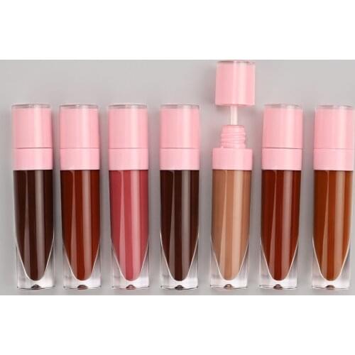 Custom DIY High Pigment Matte Shiny Nude Liquid Lipstick Private Label Makeup High Pigment Lipgloss Waterproof Long Lasting