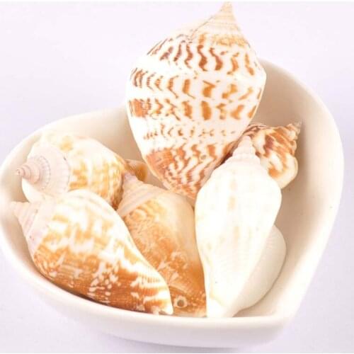 38-45mm bar-type pattern Natural Spiral Shell Loose Beads for jewelry making Bracelet Necklace Earring Making DIY 2pcs TRS0276