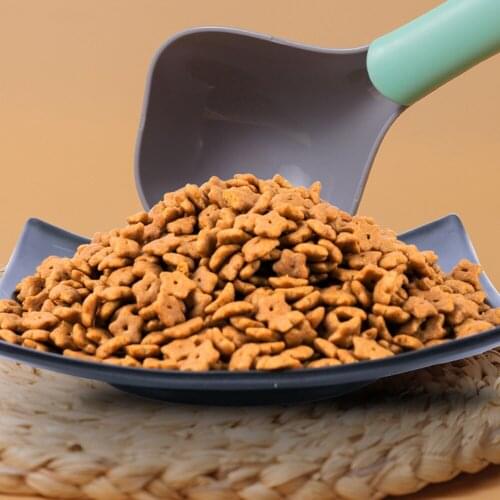 Plastic Pet Long Handle Spoon Dog Cat Canned Food Feeding Durable Reusable Scoop