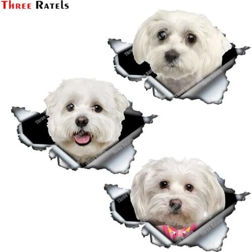 Three Ratels B390 PVC Decal Maltese Dog Waterproof Car Sticker On Motorcycle Laptop Decorative Accessories
